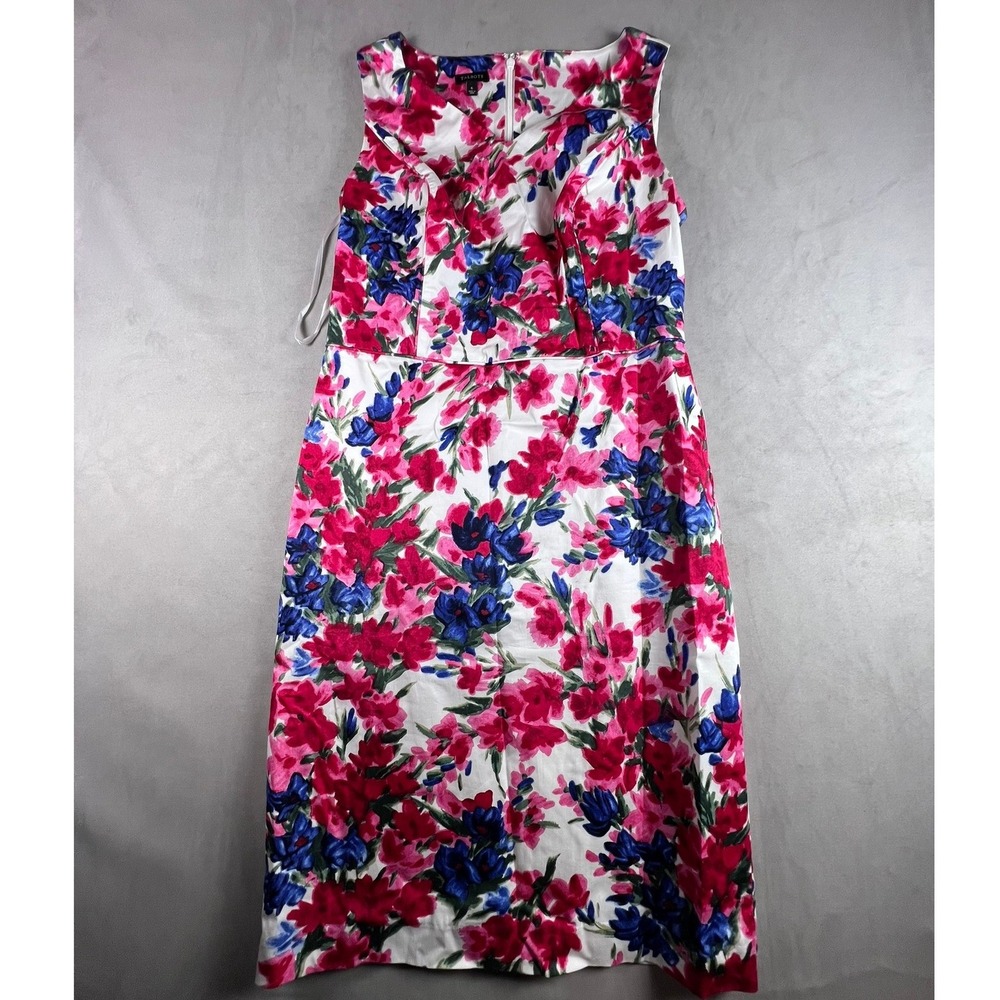 Talbots Womens Size 6 Floral Sleeveless Sheath Dress Pink Blue White Knee Length